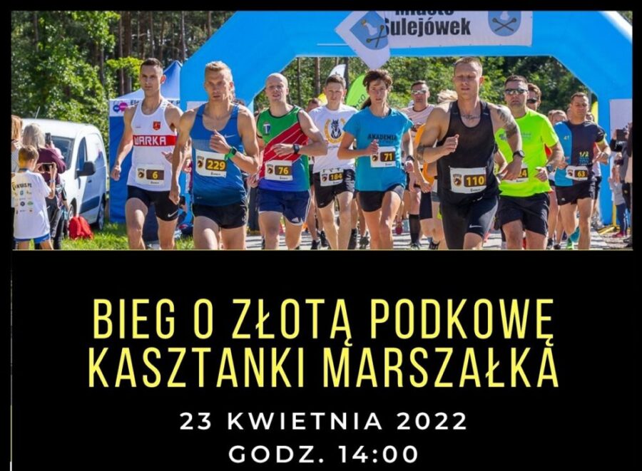 VI Bieg o Złotą Podkowę Kasztanki Marszałka 2022 post thumbnail image